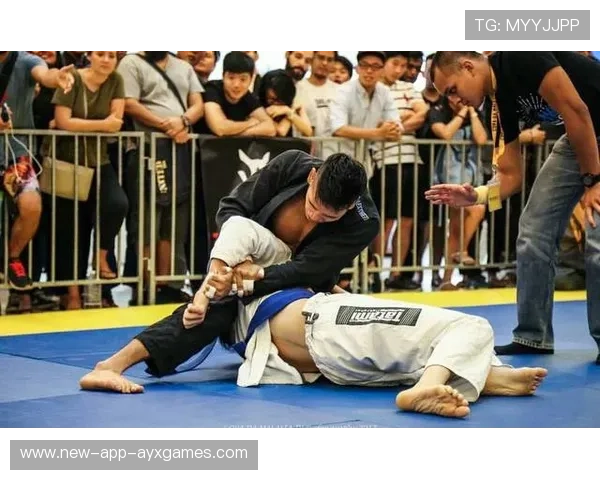 UFC队伍加强防摔技术训练，整体对抗能力提升